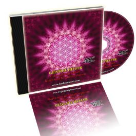 Geistige Helfer – sich spirituell führen, leiten und beschützen lassen