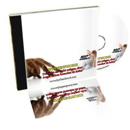 Spinnenphobie – Du sollst sie nicht mögen, aber Angst haben brauchst du keine